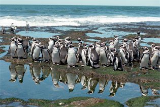 paquete puerto madryn